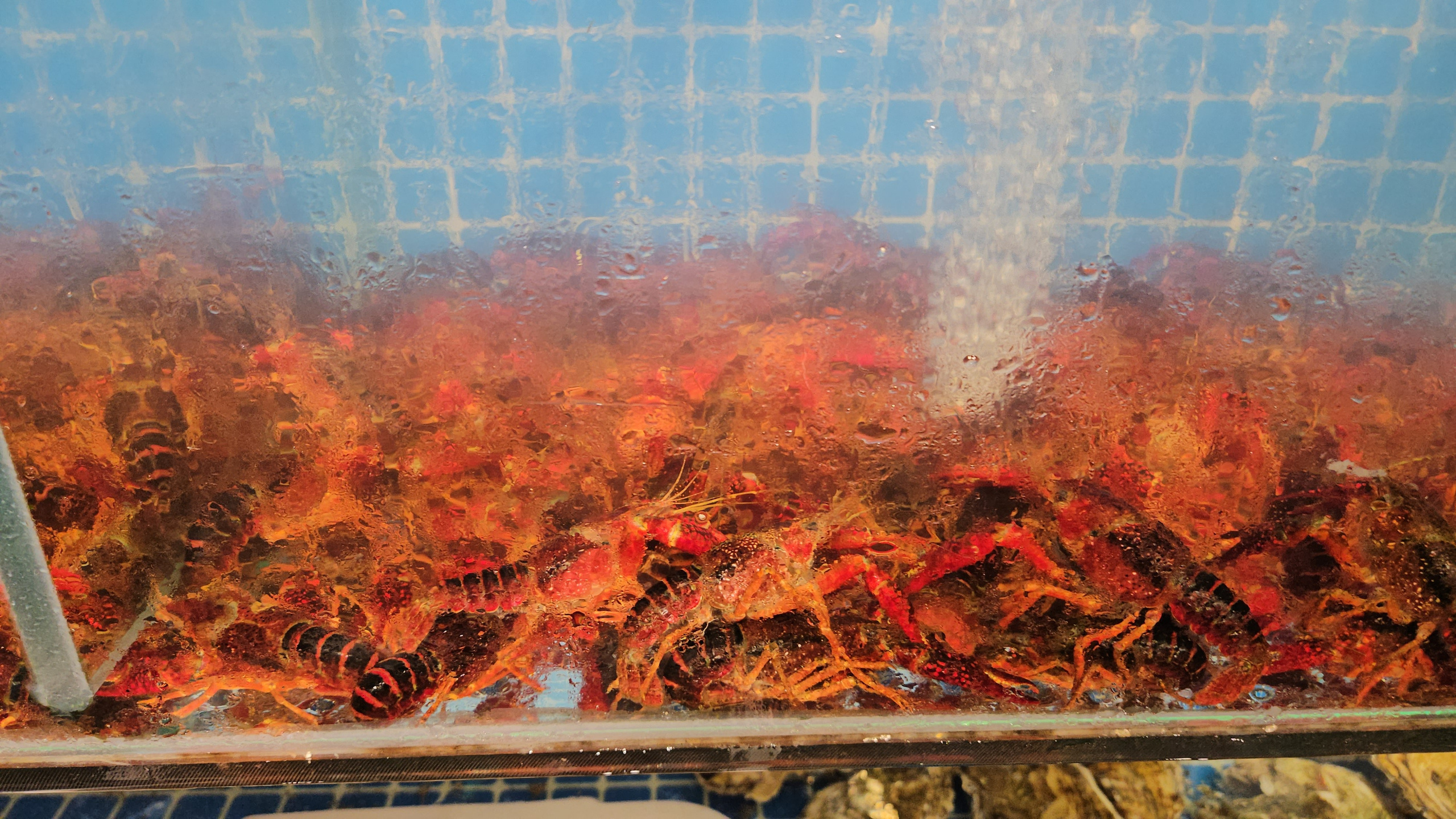 Китай. Июль 2025