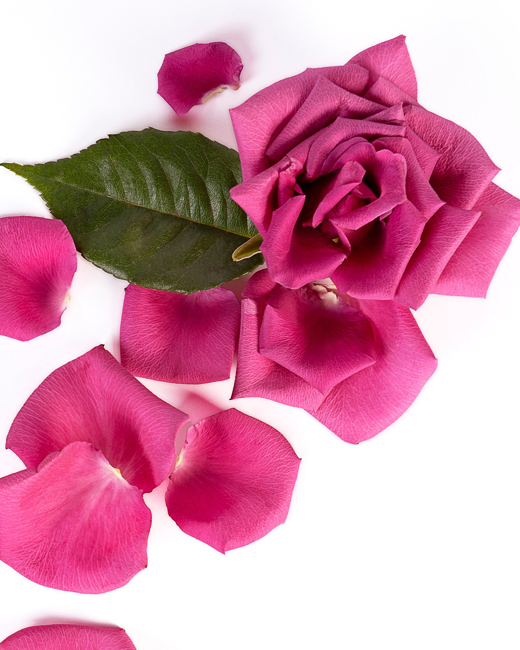 Товары для дома. Предметный фотограф | Москва | Надежда Мытник