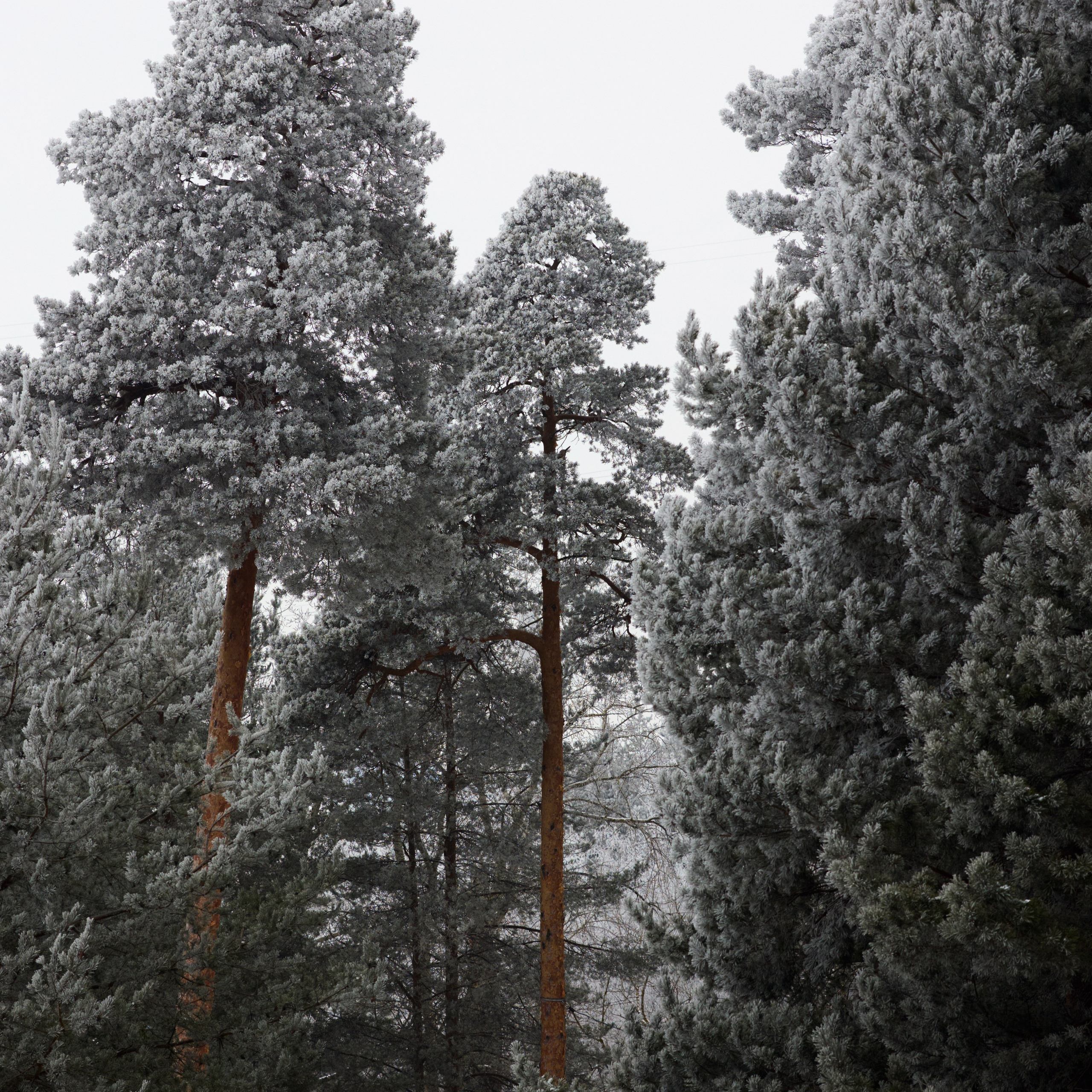 Коллекция «Несезонный Нижний». Фотограф Чугунов Александр