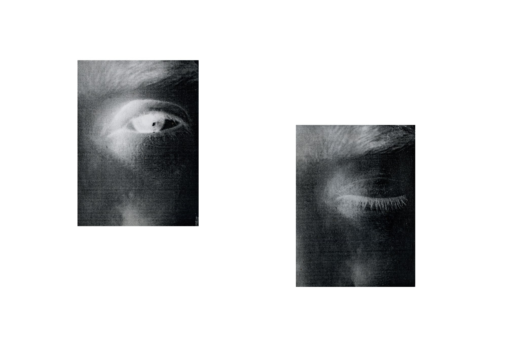 Лаборатория художника. Private image