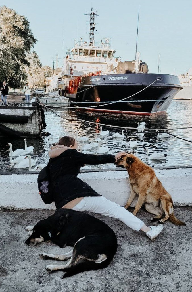 Обо мне. Фотограф-анималист Анастасия Большакова