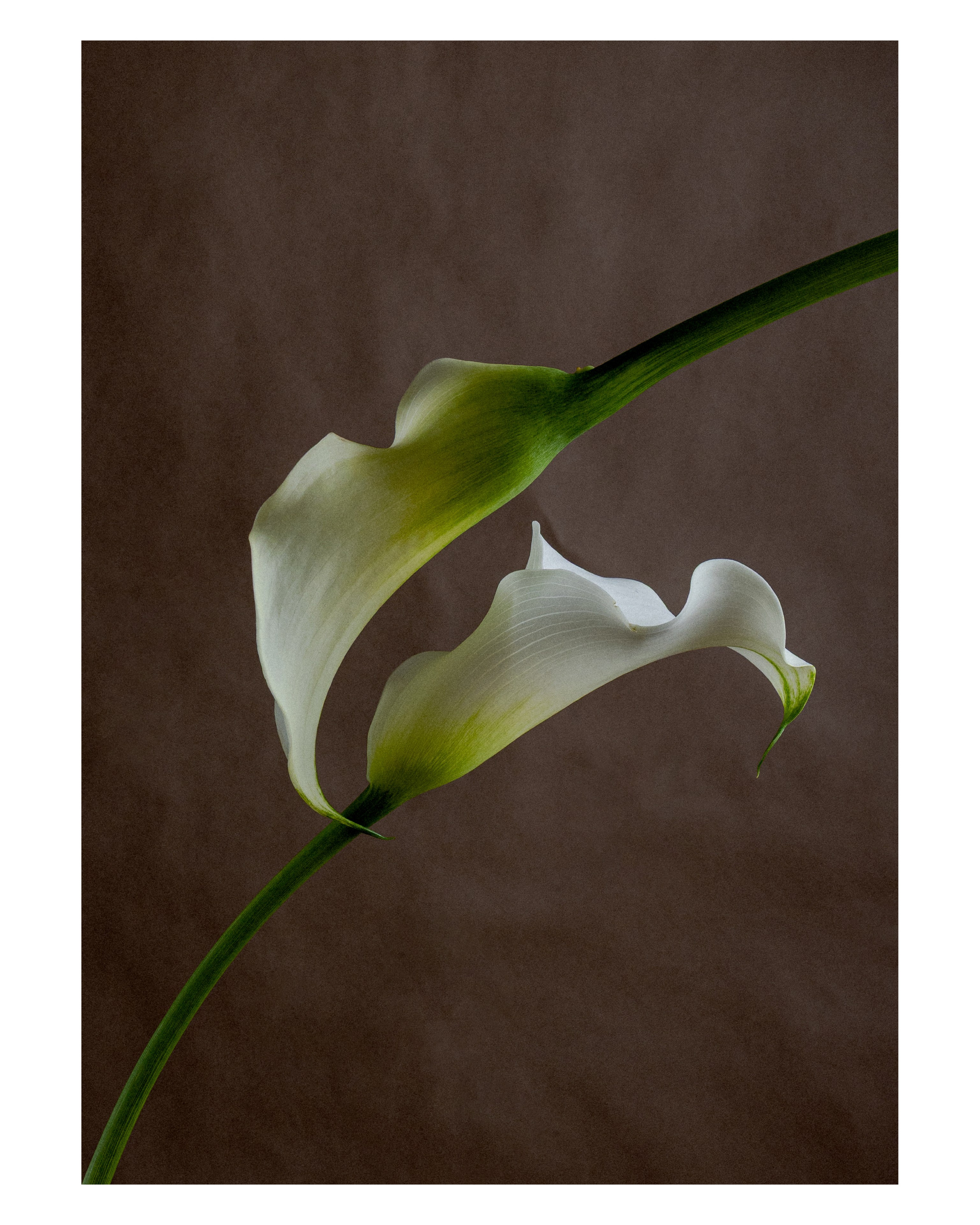 Магазин. Фотограф Тина Бережная