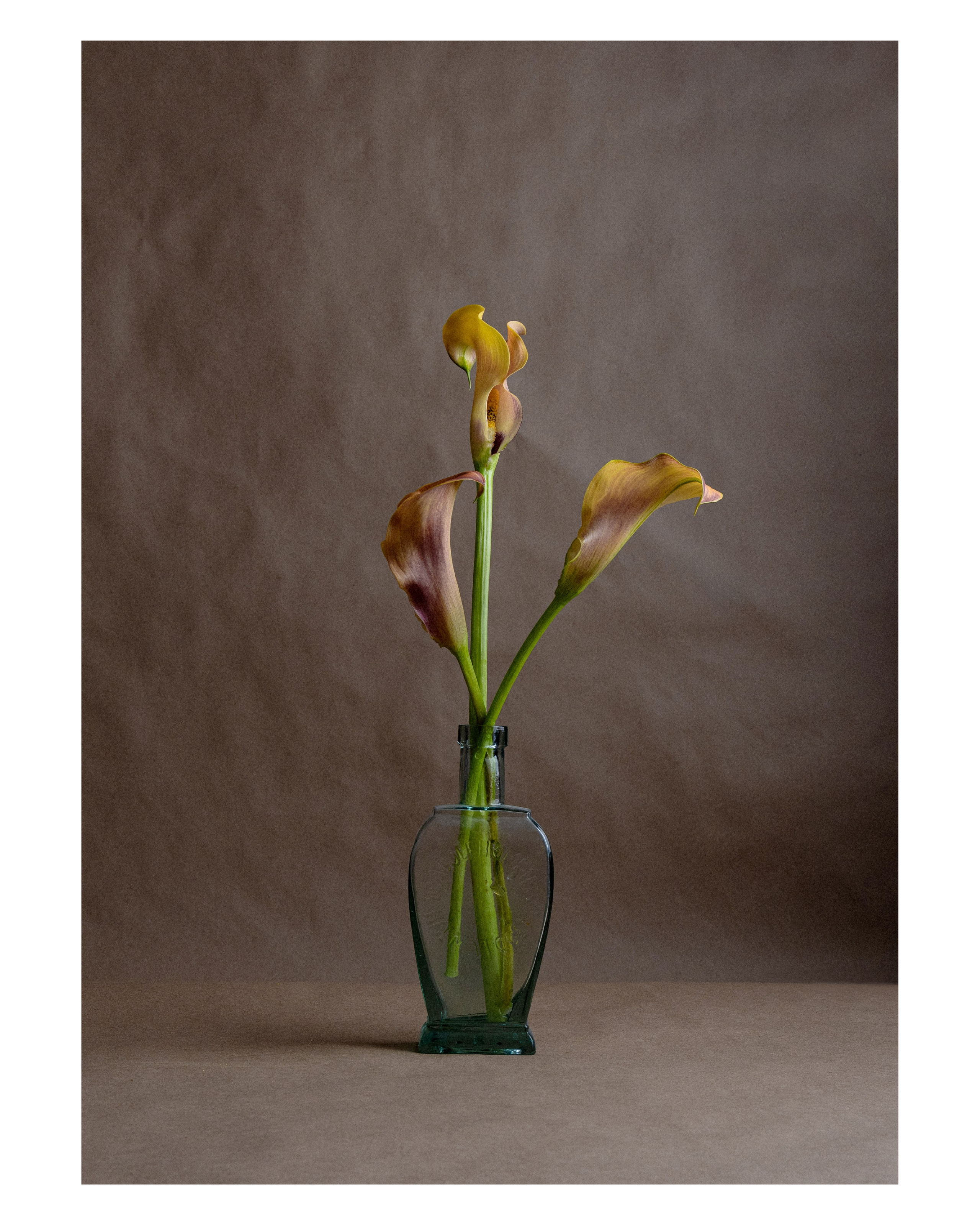 Магазин. Фотограф Тина Бережная