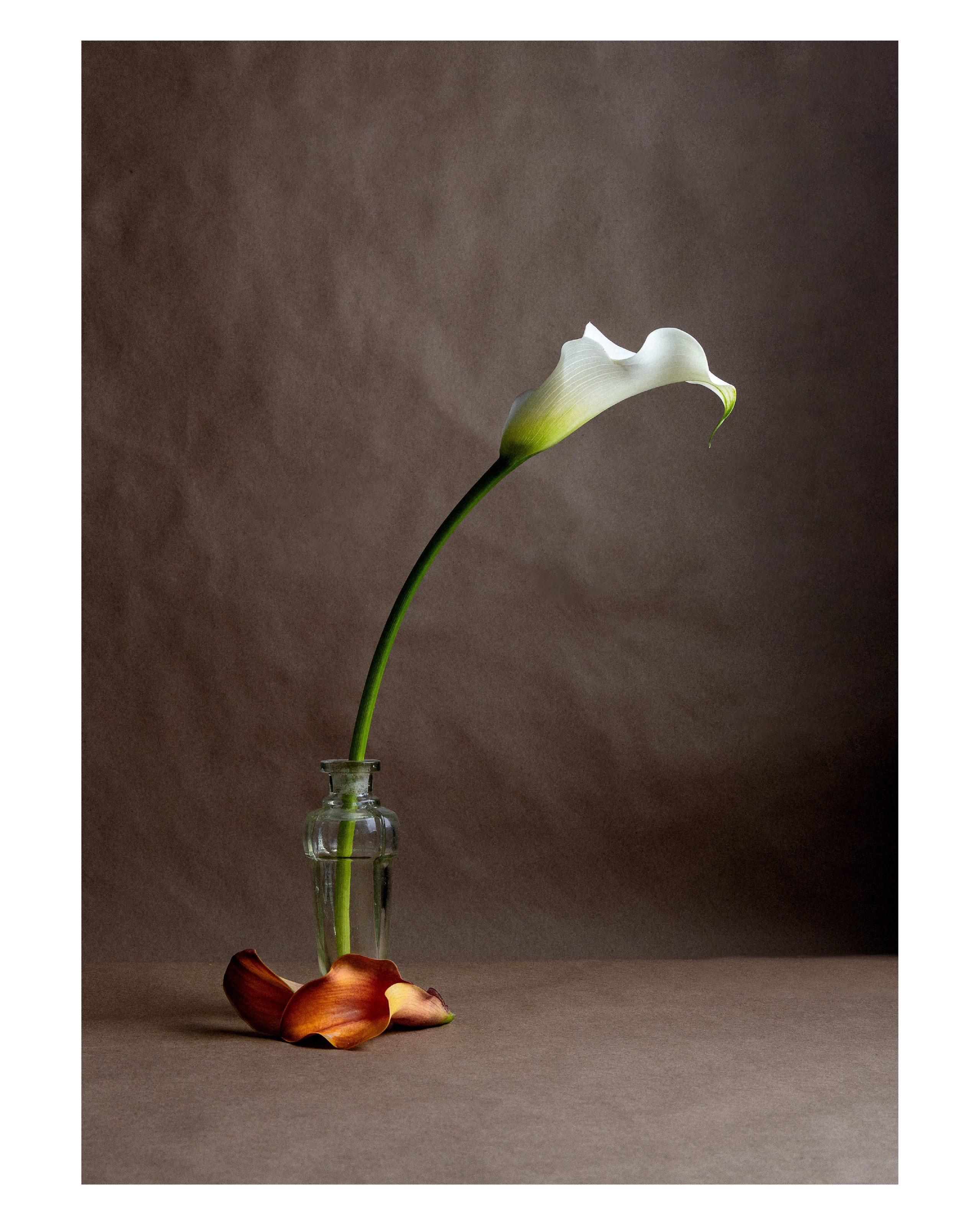 Магазин. Фотограф Тина Бережная