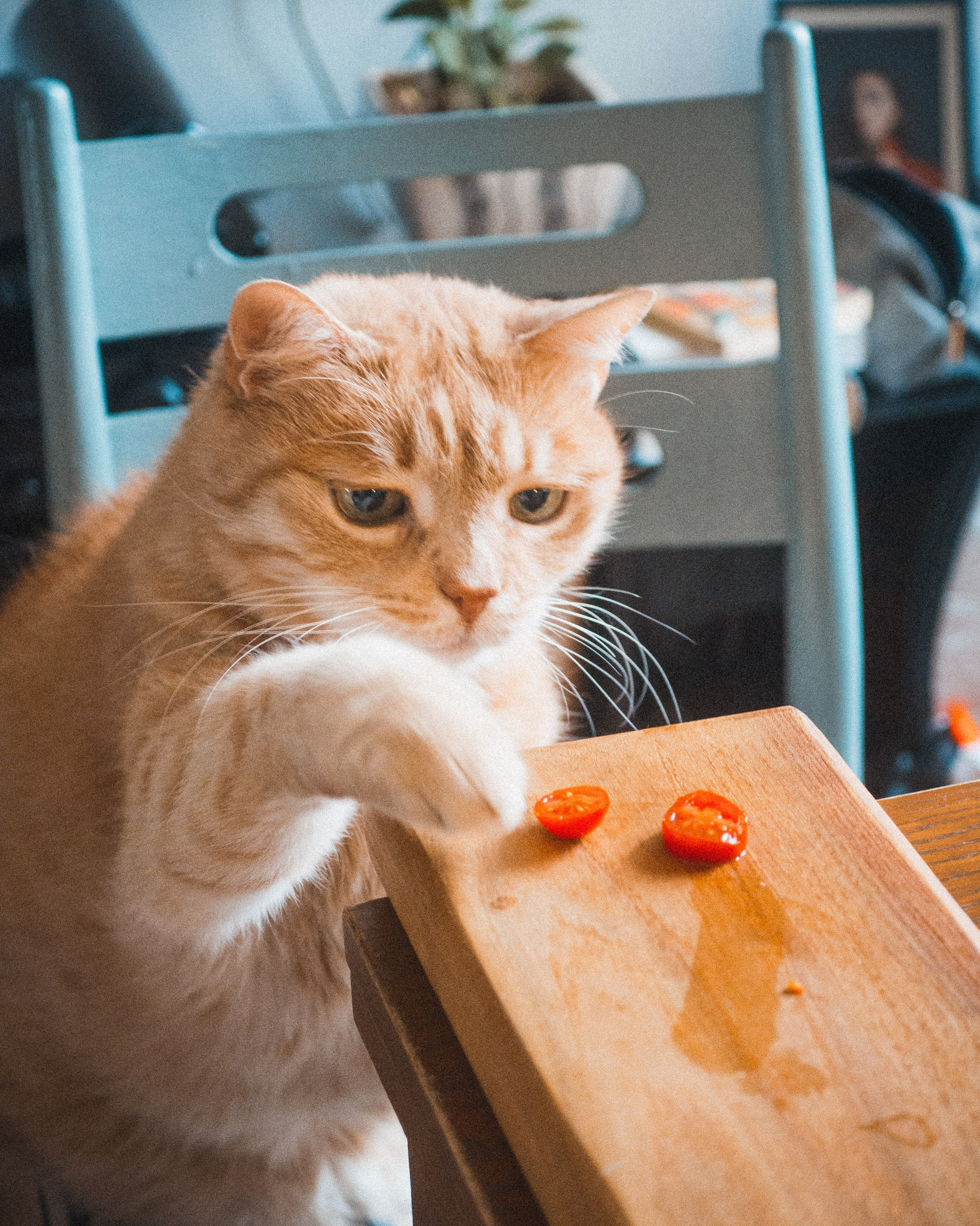 Просто еда, просто вино! № 1. Фотограф в Санкт-Петербурге Анна Гончар
