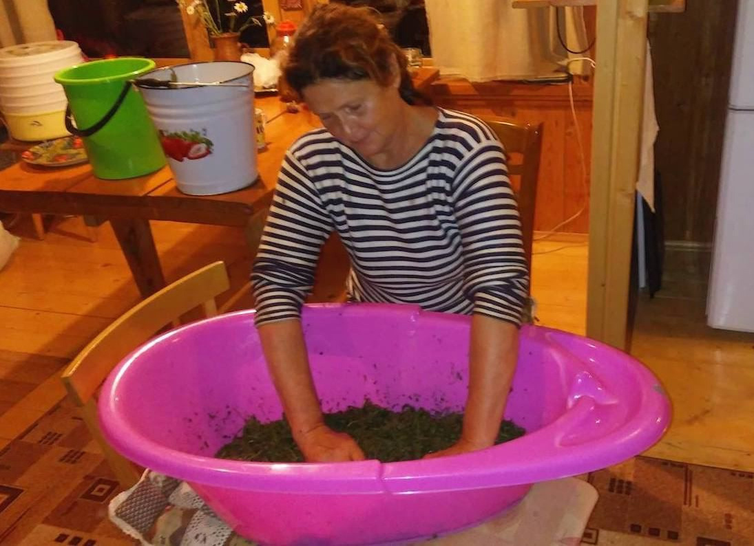 Экопродукция в Подмосковье. Эко отдых в Подмосковье в эко-отеле Марии Гиппенрейтер