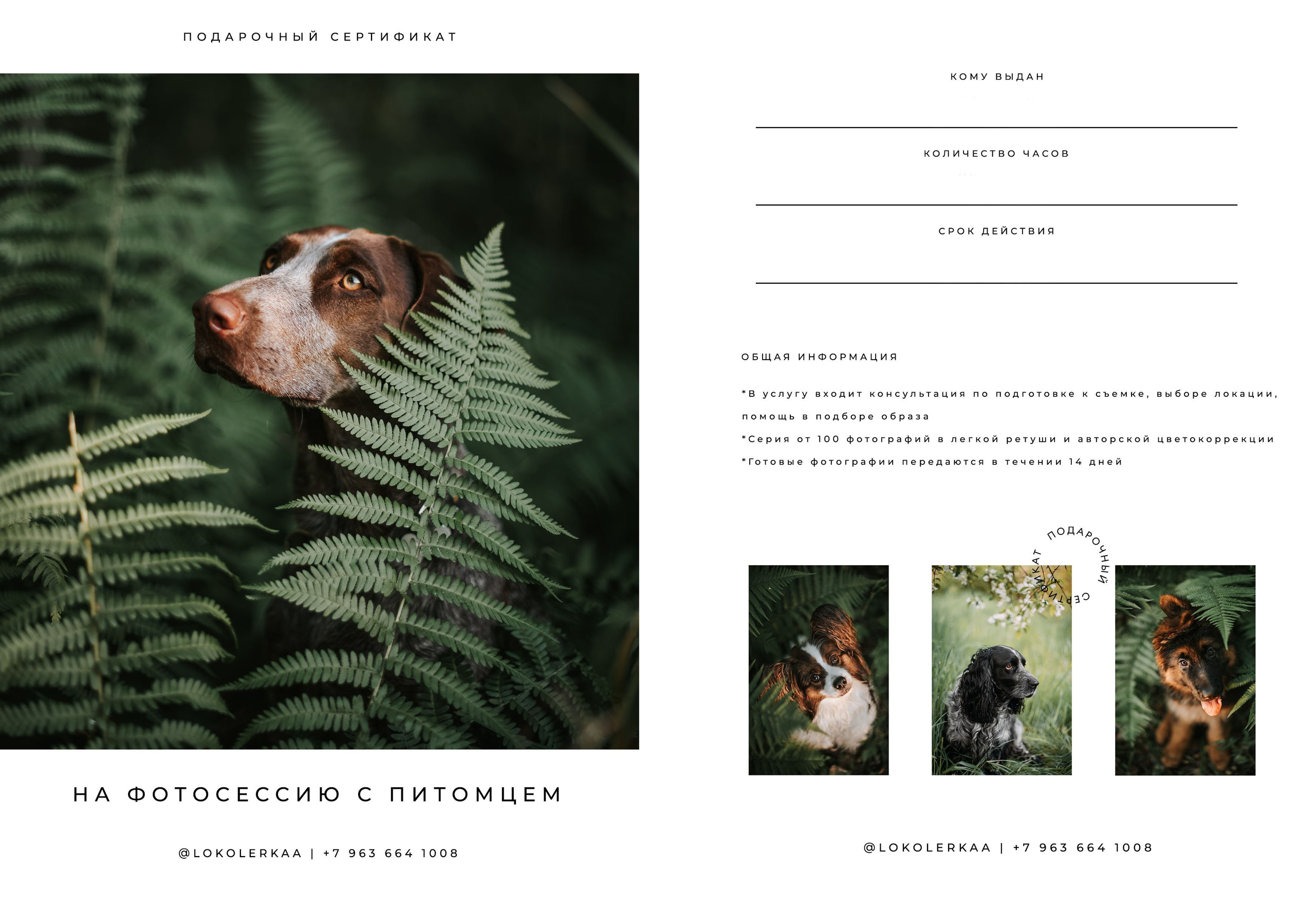 Услуги и цены. Фотограф-анималист Валерия, Москва, Мытищи