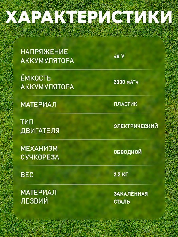 Графический дизайн. Sergey Shapovalov, фотограф, видеограф, графический дизайнер, монтажер