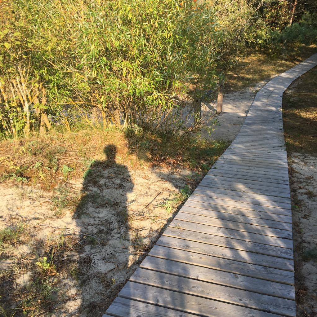 Сontacts. Художник Даля Бучионите