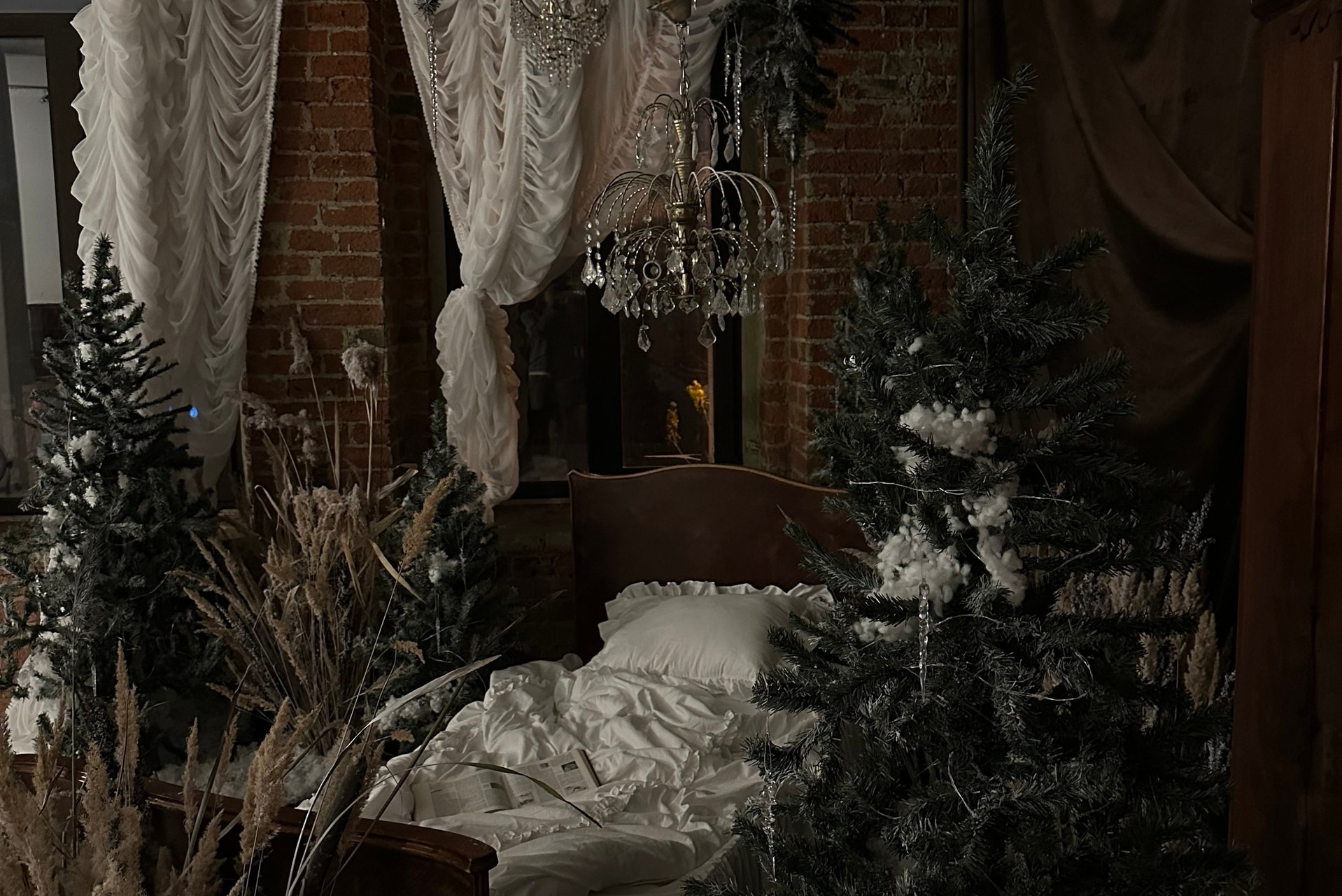 ФОТОСТУДИИ 2025-2026. Фотограф в Твери Helga J. Fox