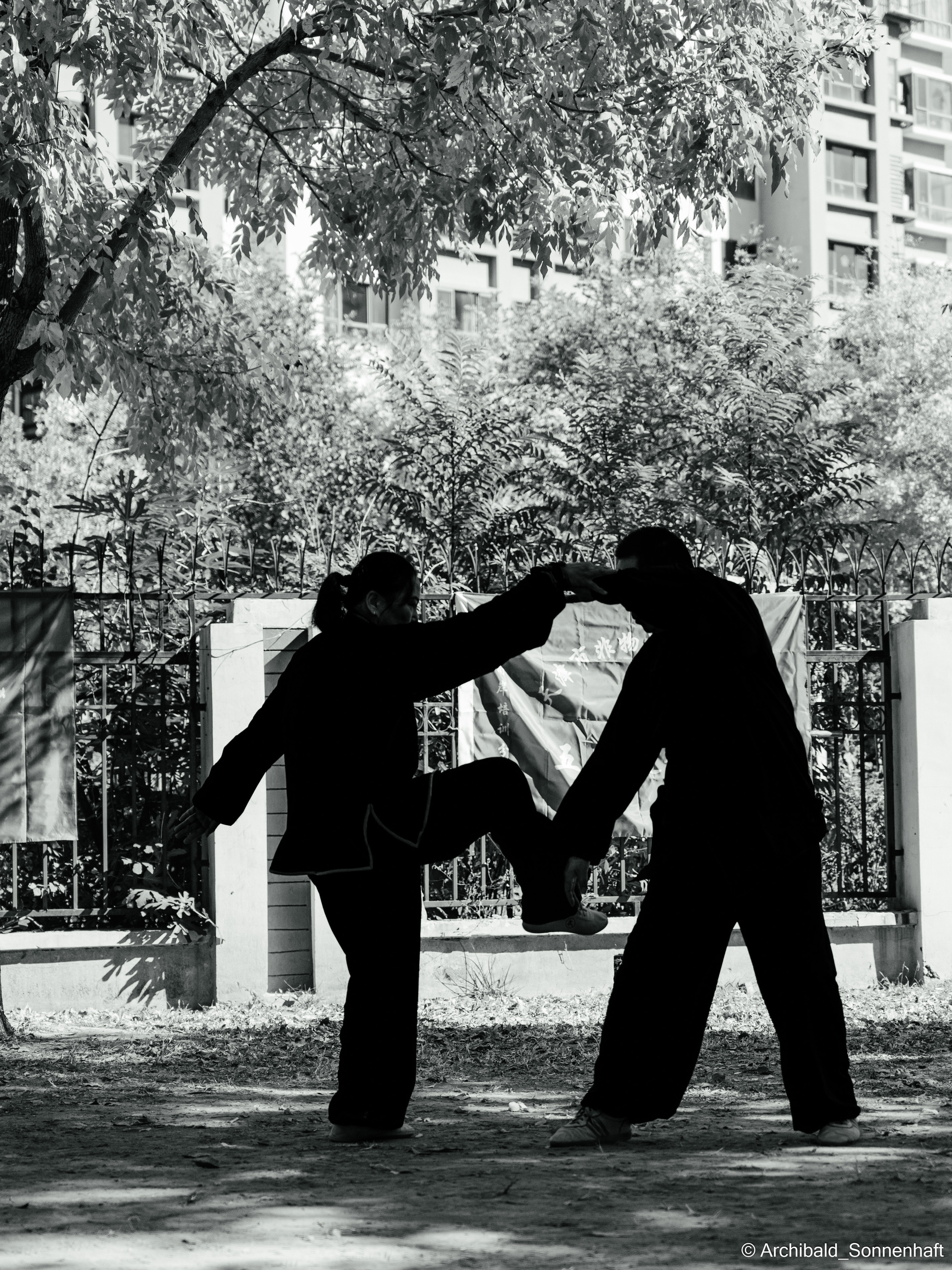 TaiJiQuan. Photographer in Guangzhou, China. Archibald Sonnenhaft