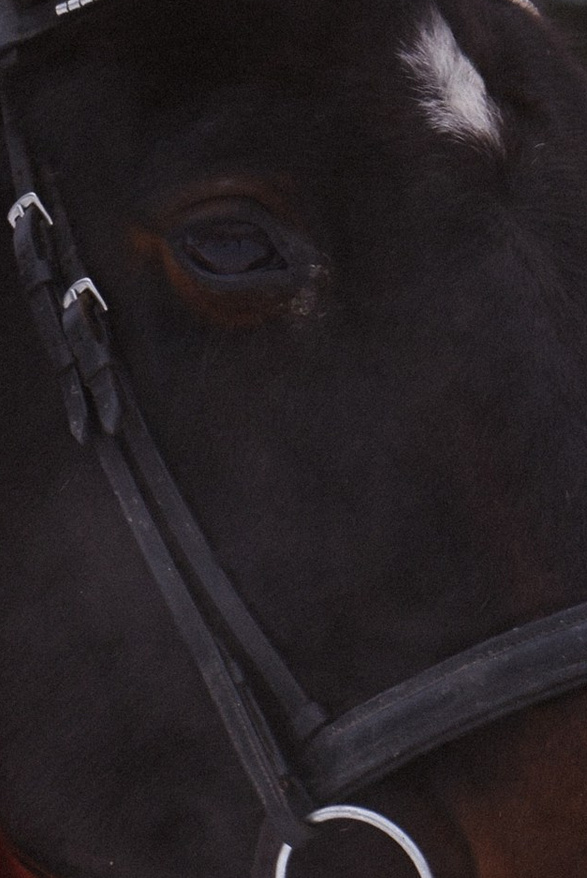 Топ фотографов екб