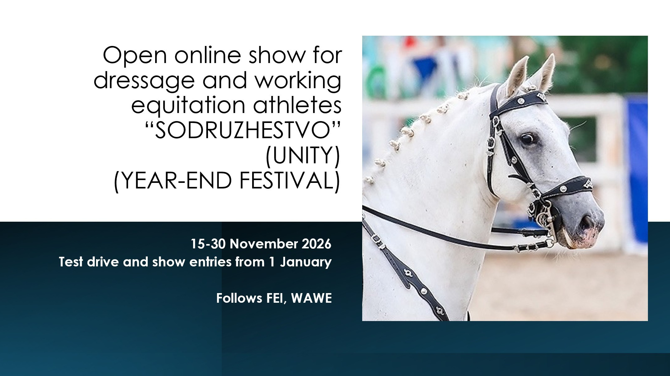 Календарь соревнований и семинаров. Лиана Антонович | Конные стратегии