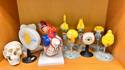 9В класс СОШ2 ПЛАН ДЕЙСТВИЙ НА ФОТОСЕССИИ