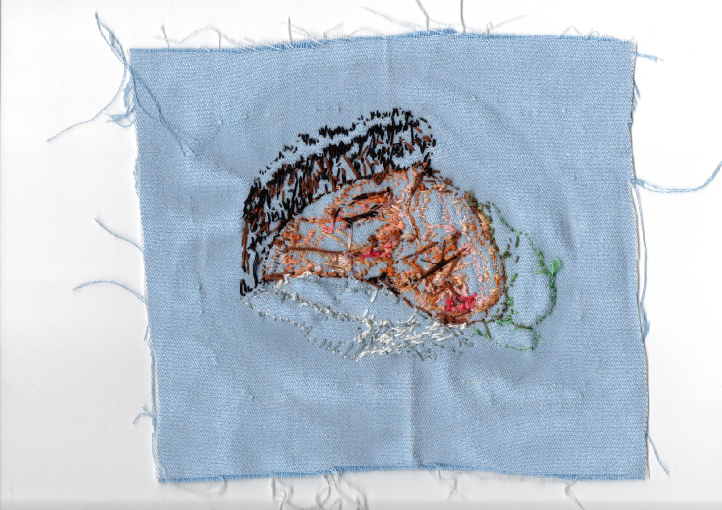 Часть II. 2019 — 2020. Наталья Чернобровкина — междисциплинарный художник