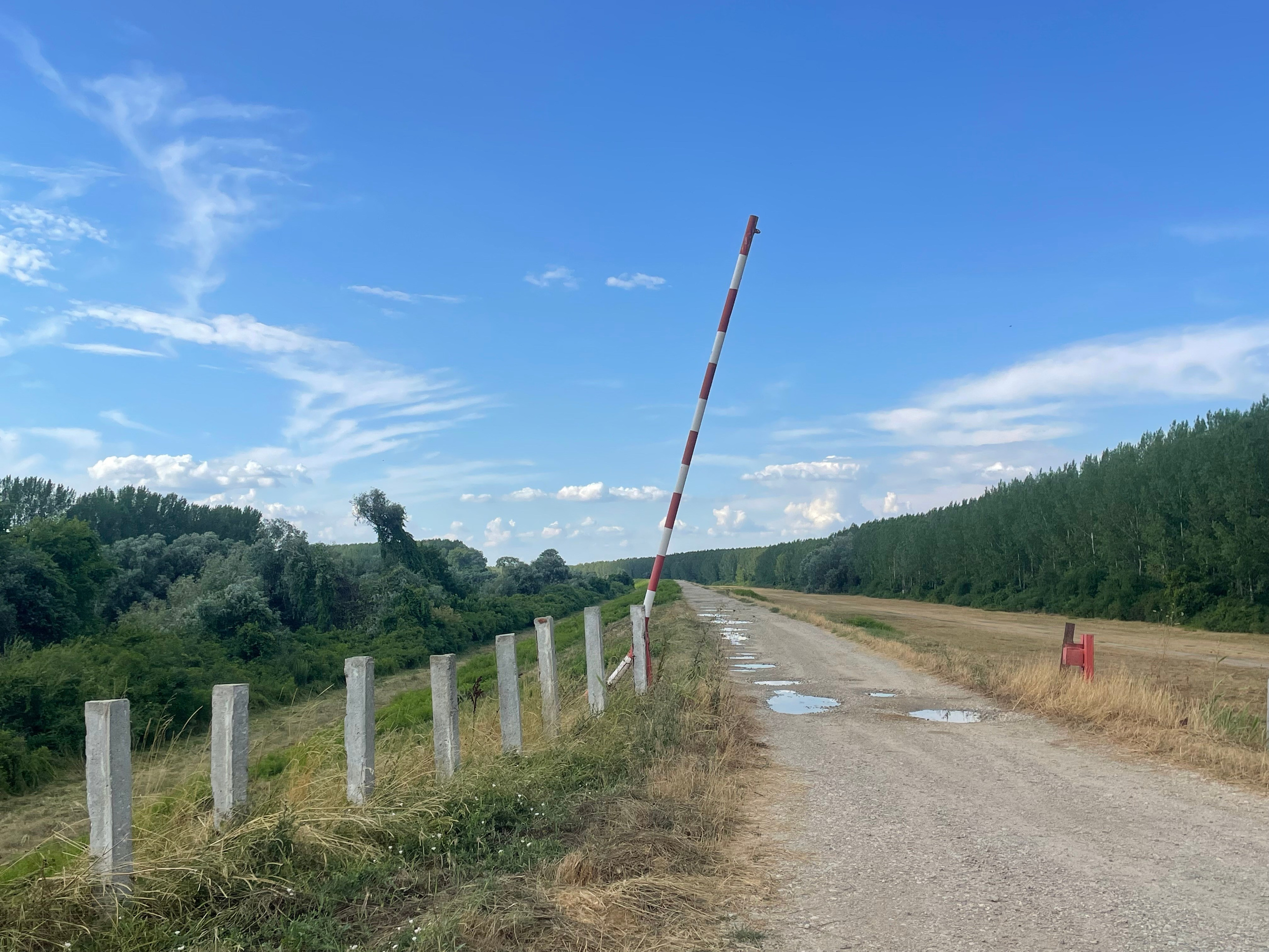 Наталия Бабинцева — ВЫДЕЛЕННАЯ ТЕРРИТОРИЯ: прогулки с N