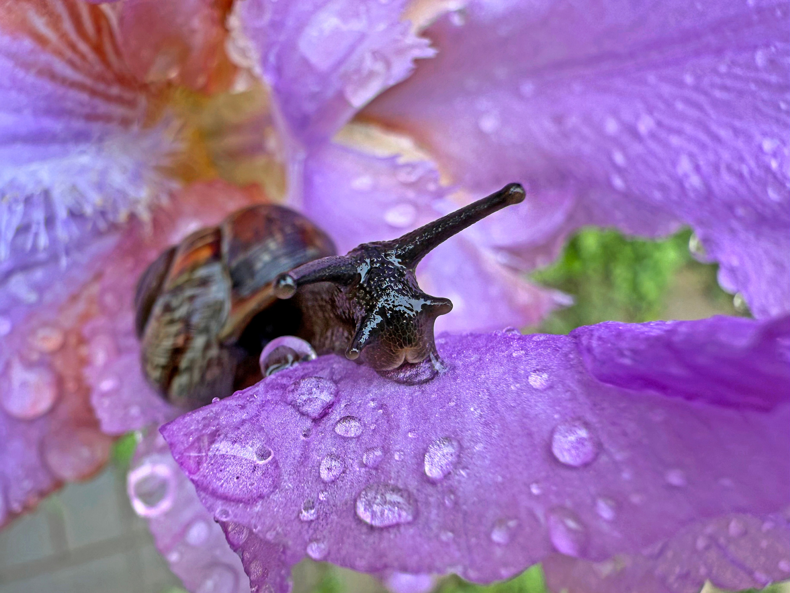 Чулюнина Елена. ARTEXPOPHOTO