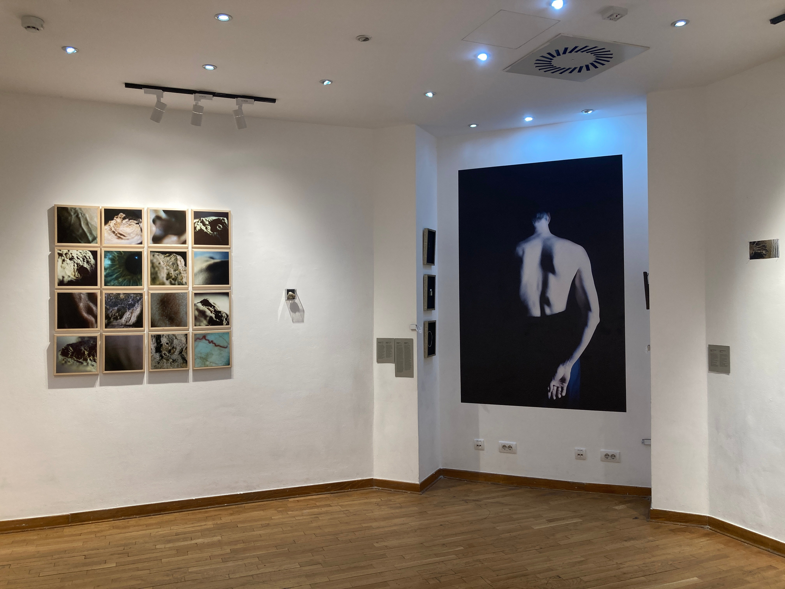 Возвращение (2024 г.). Плёночный фотограф Юлия Андрейченко в Москве