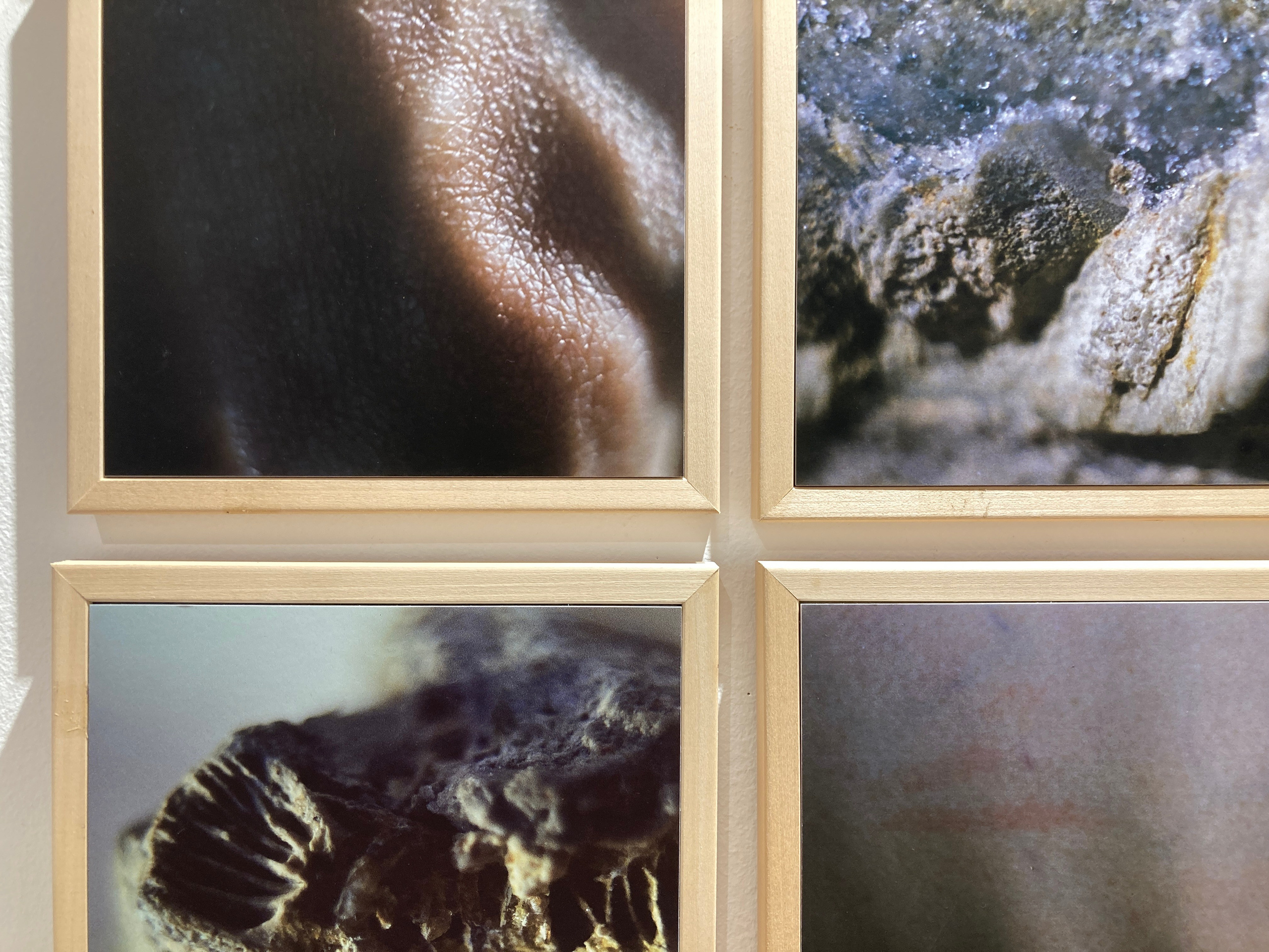 Возвращение (2024 г.). Плёночный фотограф Юлия Андрейченко в Москве