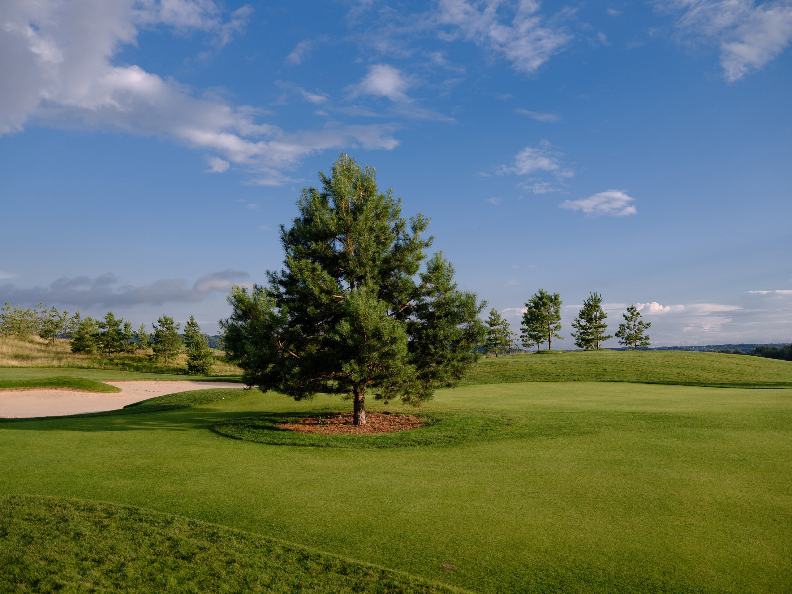 Вдохновляющий путь начинающего коллекционера. Oleg Samoilov is a documentary photographer for brands that value an honest story