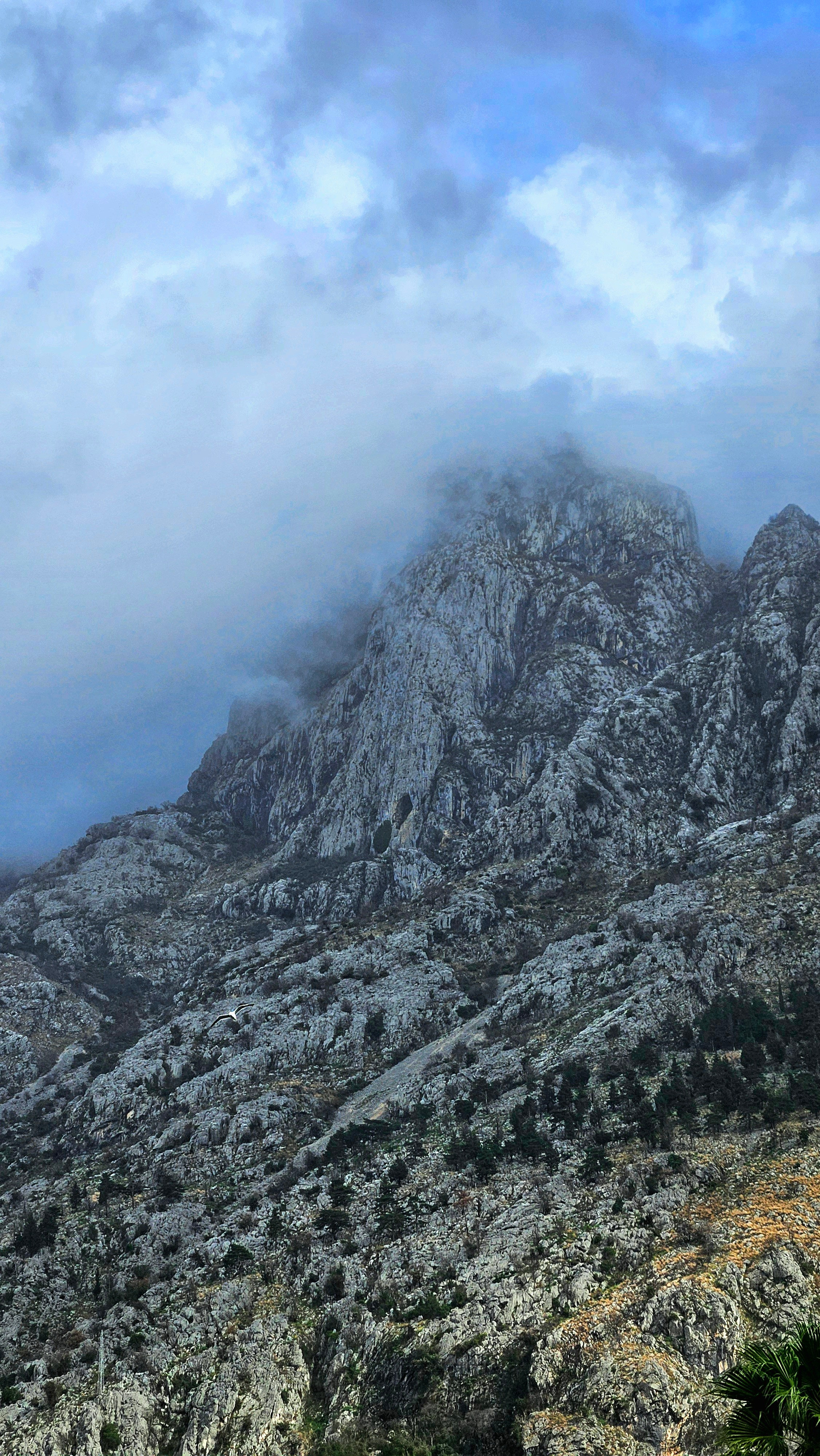 What you should know when travel to Montenegro. Portrait photographer in Tivat Montenegro Katerina Kirsanova