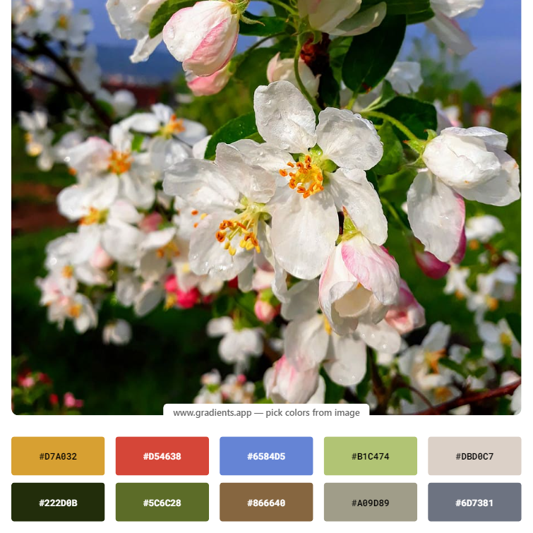 Выбираем одежду для весенней фотосессии в цветении. Полина Бамбиза фотограф фотосессии Красноярск фотокниги портрет