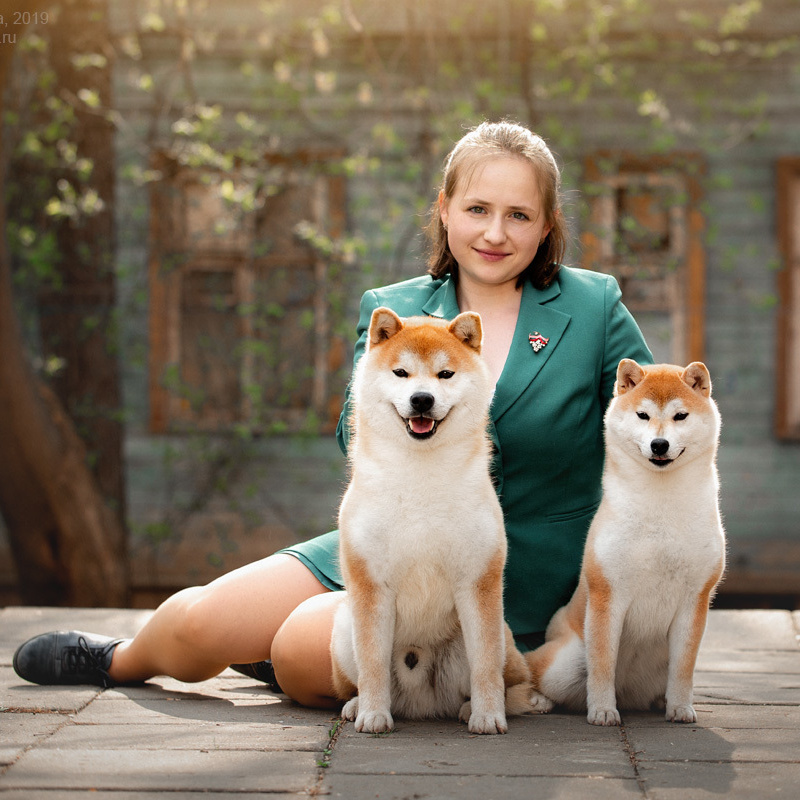 CONTACTS. SHIOMARU Shiba and Akita Inu Kennel