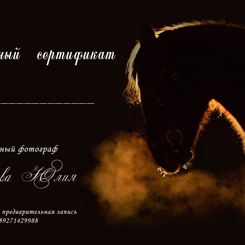 Услуги. Конный фотограф в Саратове Юлия Иванова