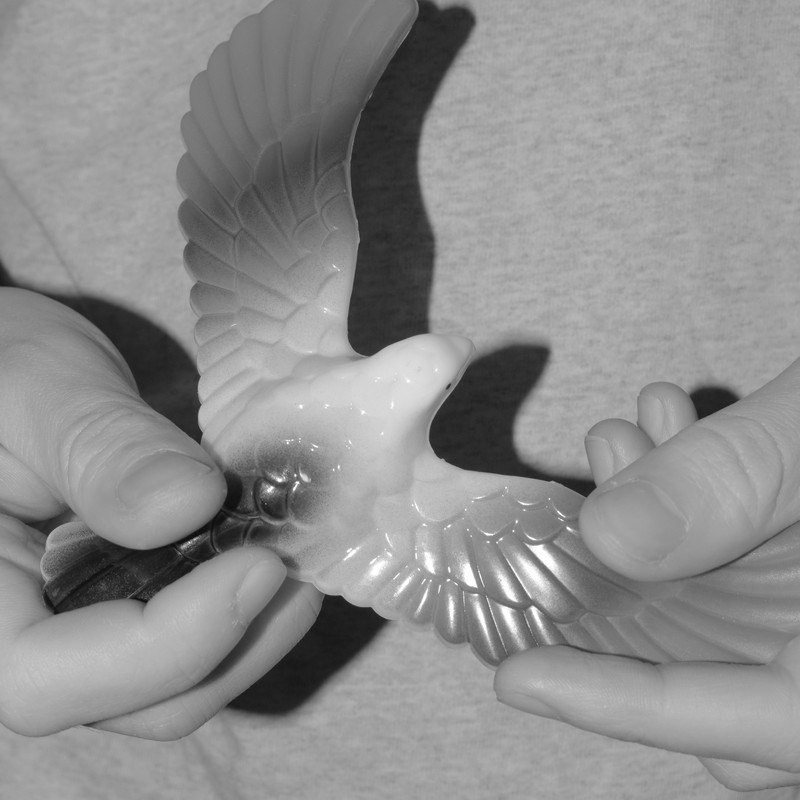 Лаборатория проектной фотографии. Самоорганизация Низина