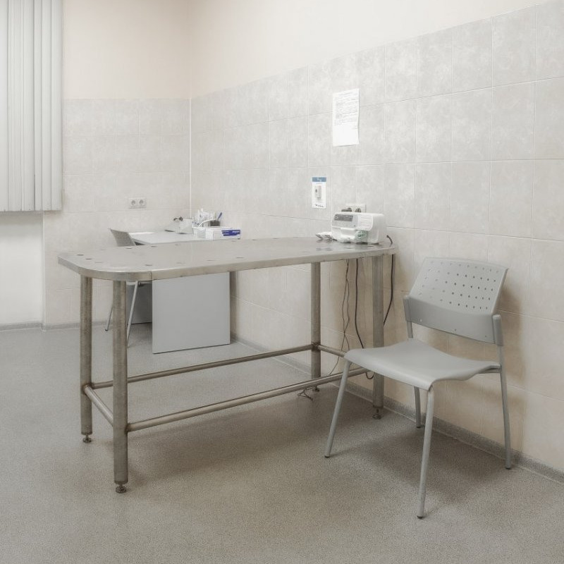 Осмотр. Ветеринарная клиника «Доктор Ай» | Королев