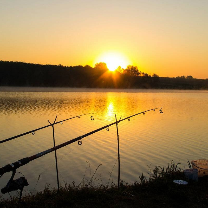 Рыбалка в Шалово-парк. Оздоровительный комплекс Шалово-парк Серебряные ключи