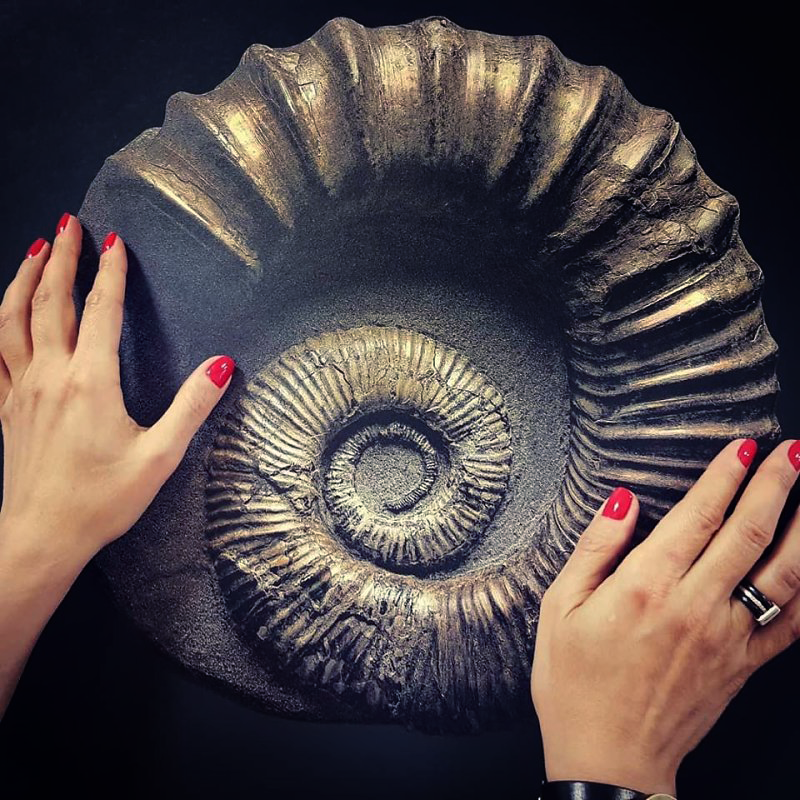 The Fossil. Andrey Akimov Photography