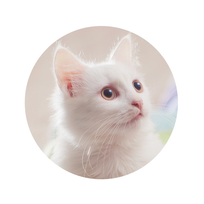 Съёмка для брендов