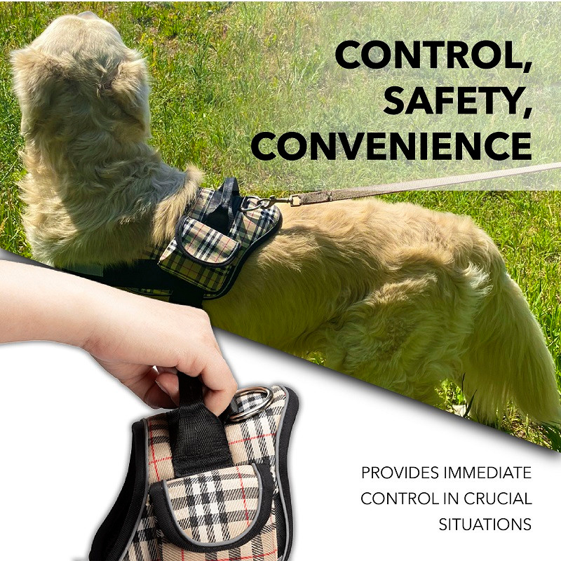 Графический дизайн. Профессиональный фотограф в Астане