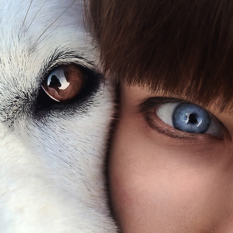 Контакты. Фотограф животных Екатерина Киреева в Москве