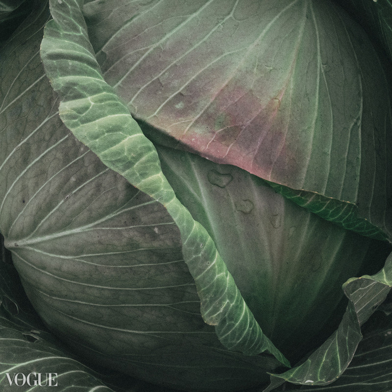 Публикации. Никонёнок Анна фотограф