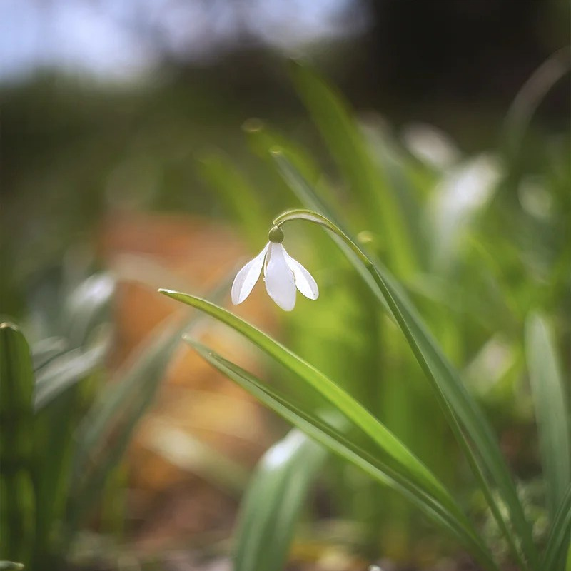 Весенний Крым. Пейзажный & Timelapse фотограф Роман Любимский