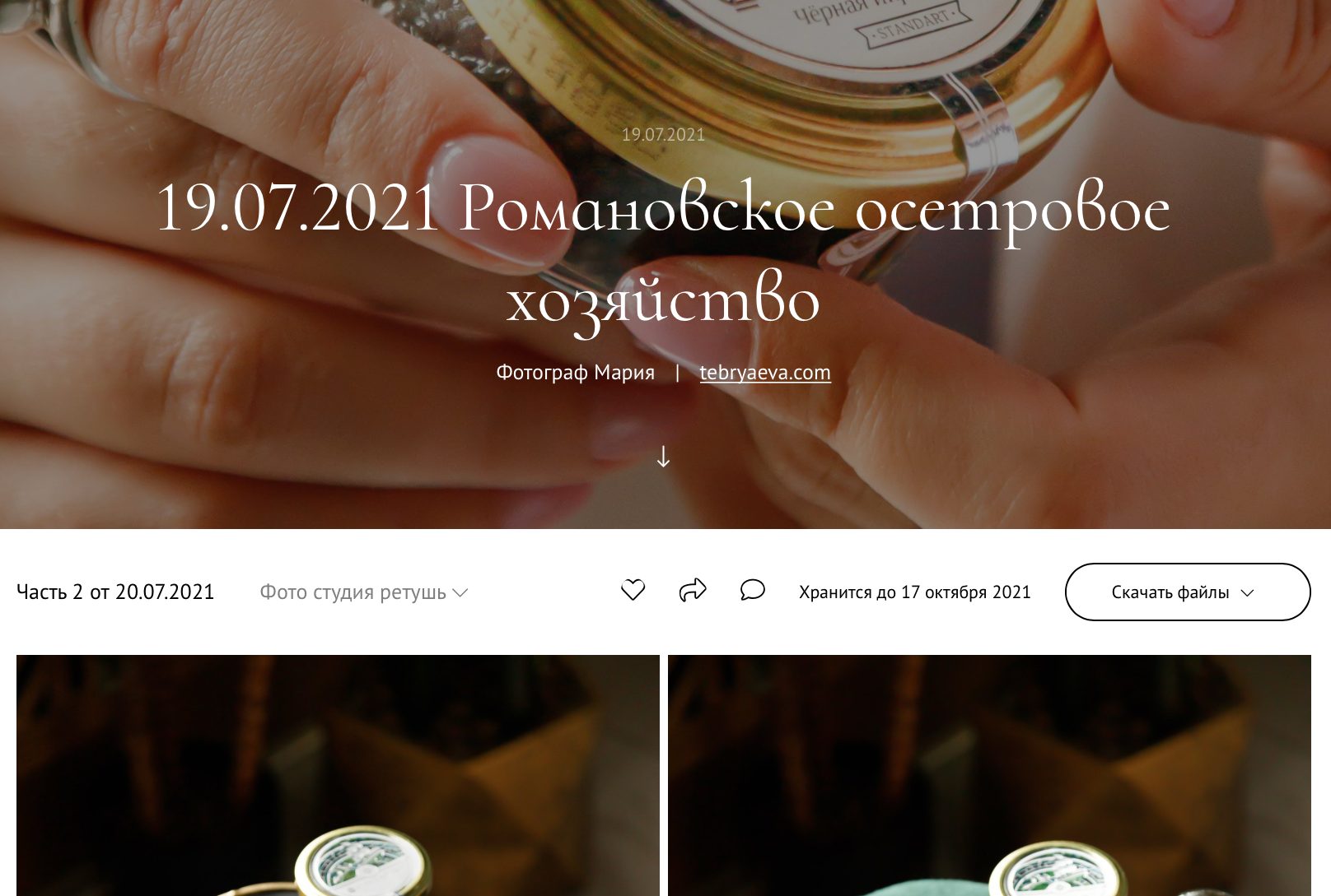 Зачем сайт фотографу или фуд-фотографу использование облачного диска для передачи фотографий