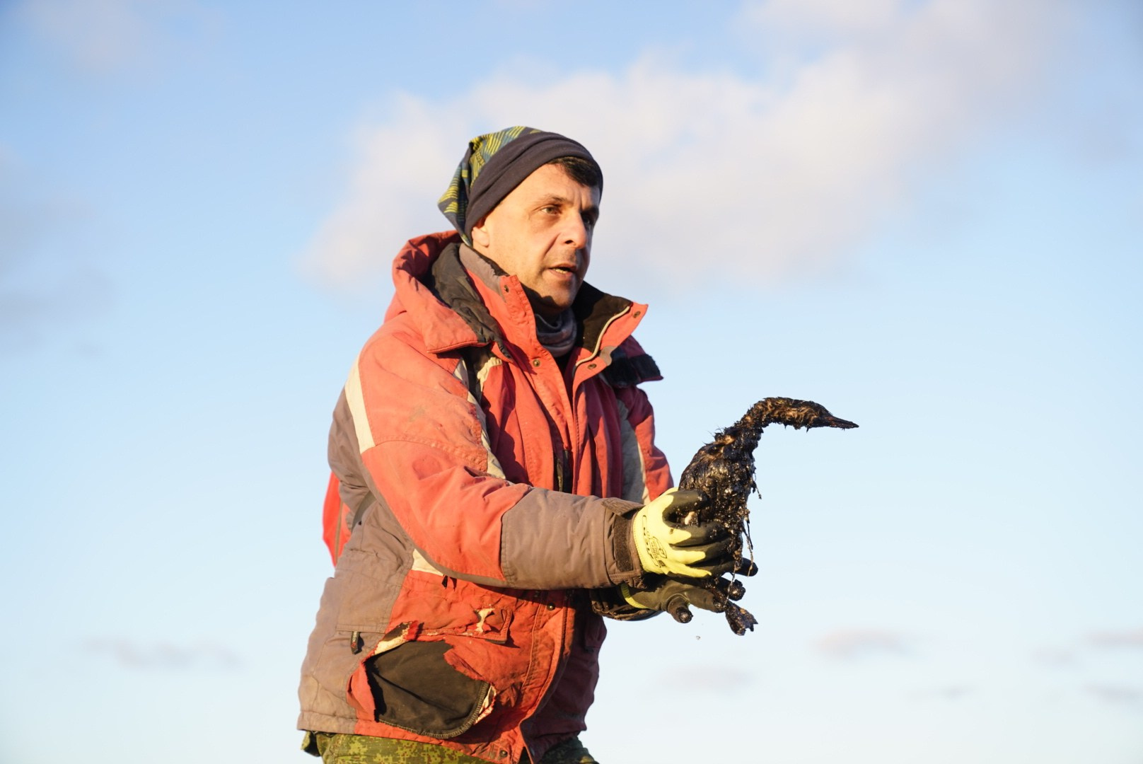 Выброс мазута в Анапе 2024. Povarov