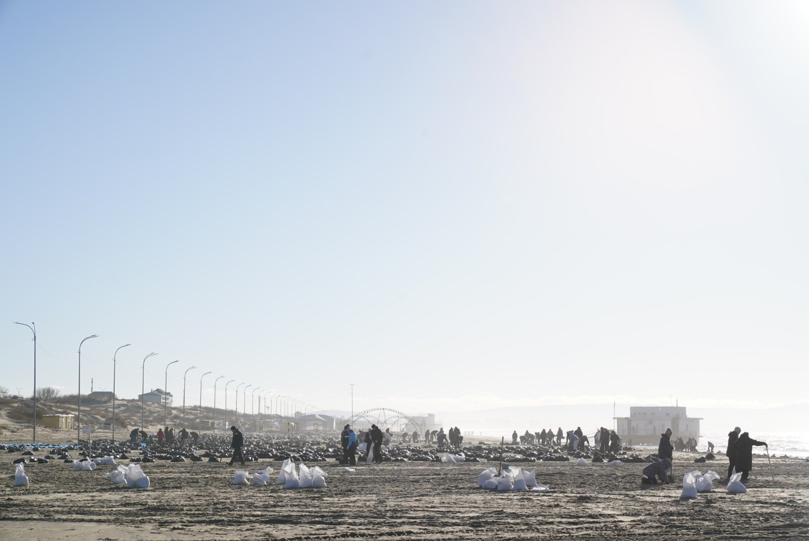 Выброс мазута в Анапе 2024. Povarov