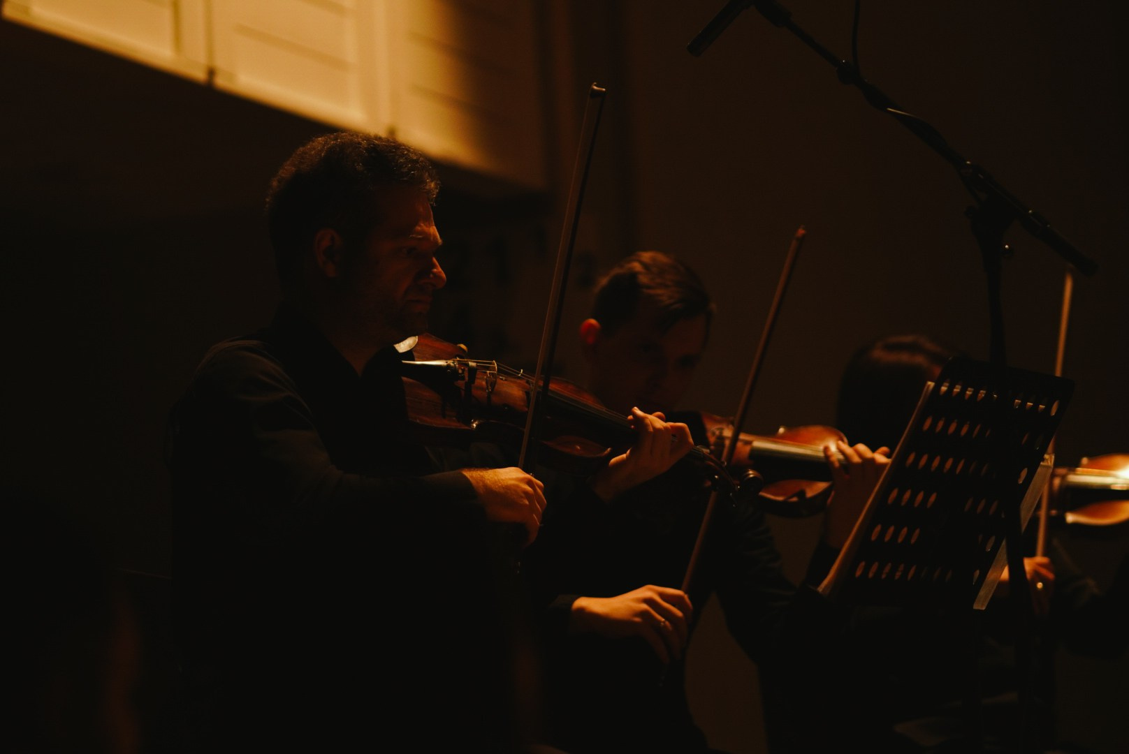 Репортажи. Northerndaria Фотограф & Видеограф