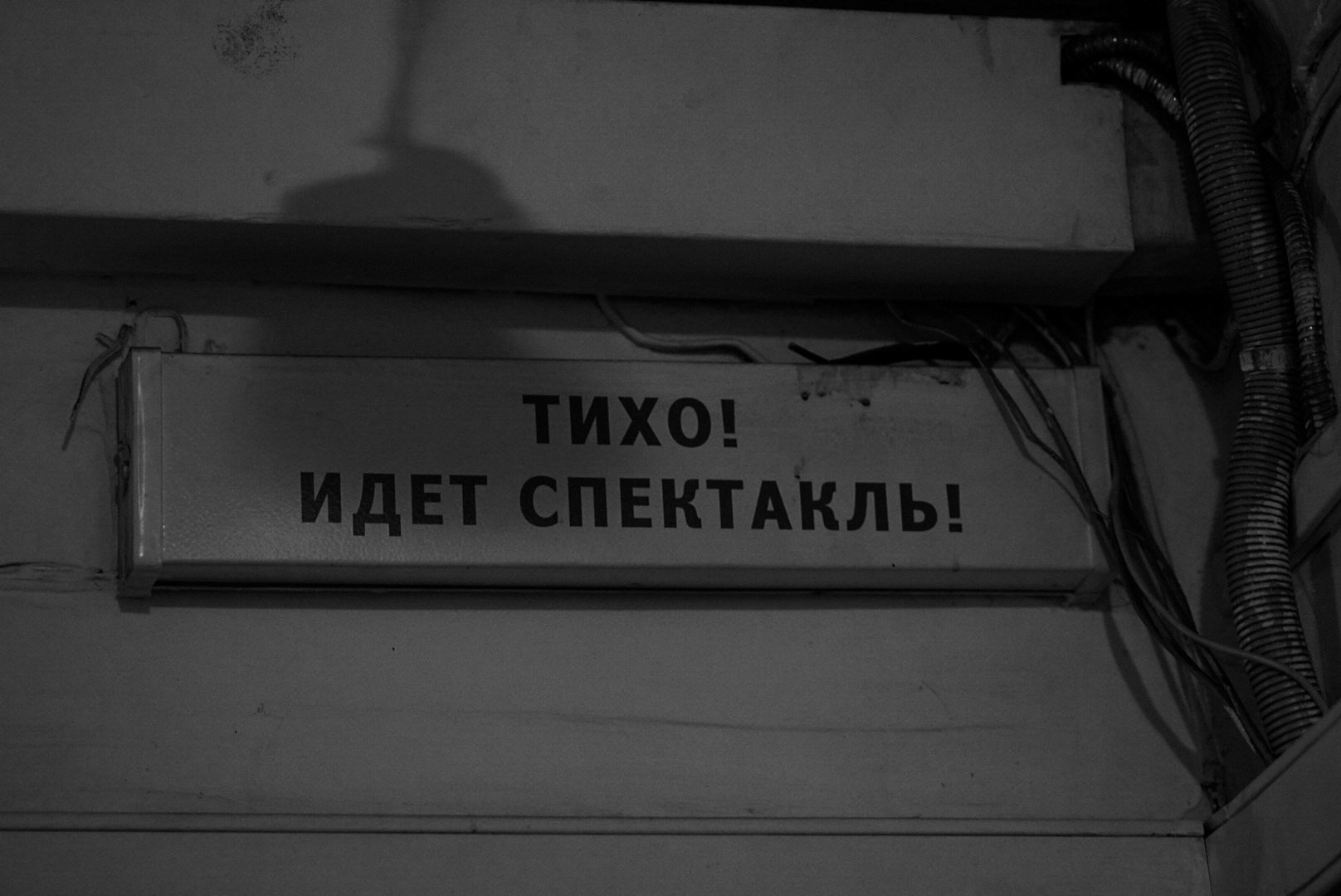 Репортажи. Northerndaria Фотограф & Видеограф