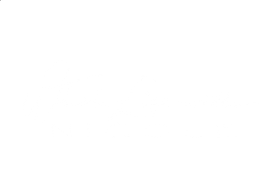 nicoleegorova.wfolio.pro