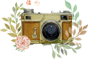 nesteroffoto.wfolio.pro