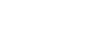 wildirbis.com