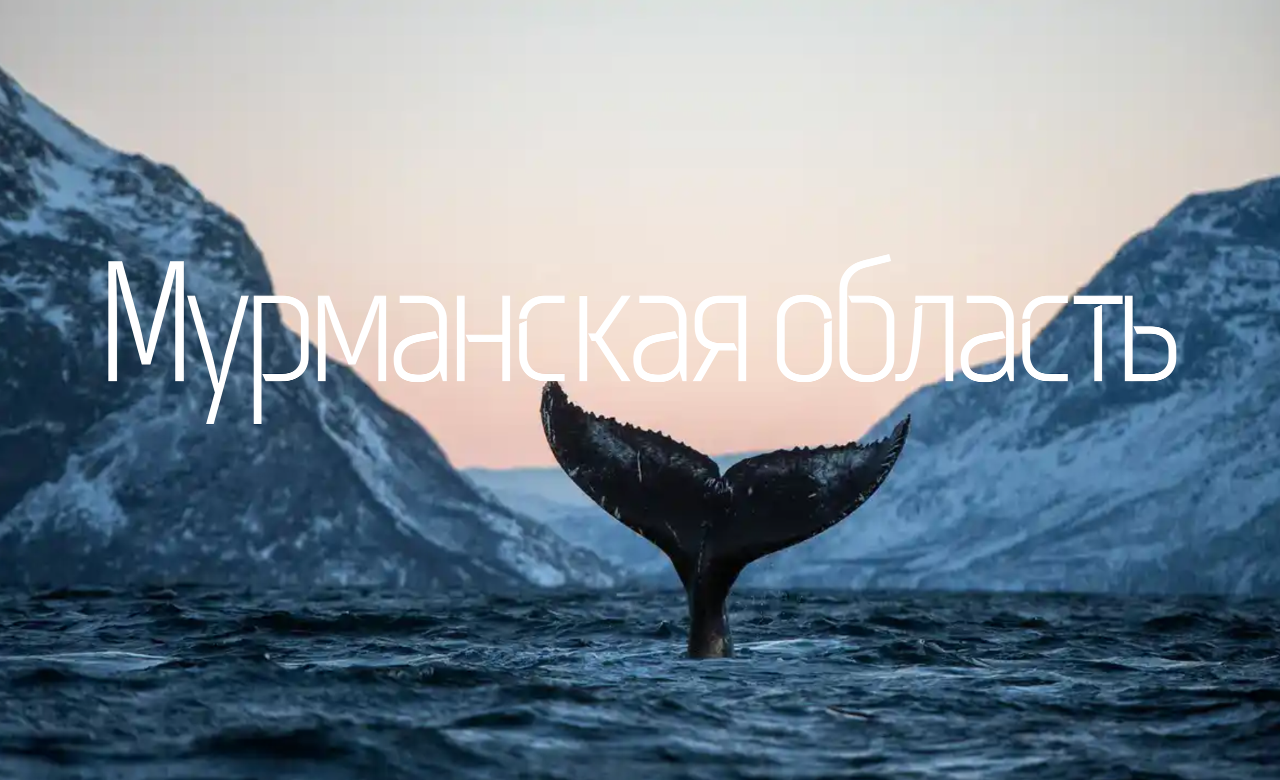 Туры по России и миру