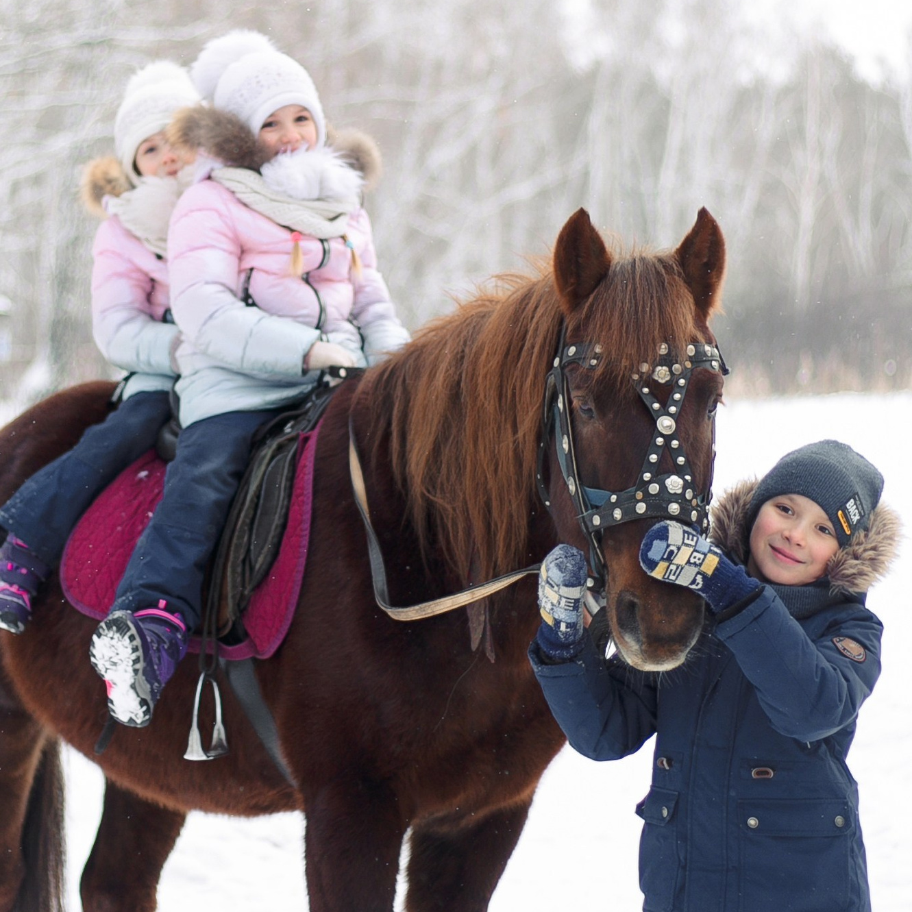 Новогоднее мероприятие для особенных детей 2026. Конные прогулки в клубе «Анкор» — Омск