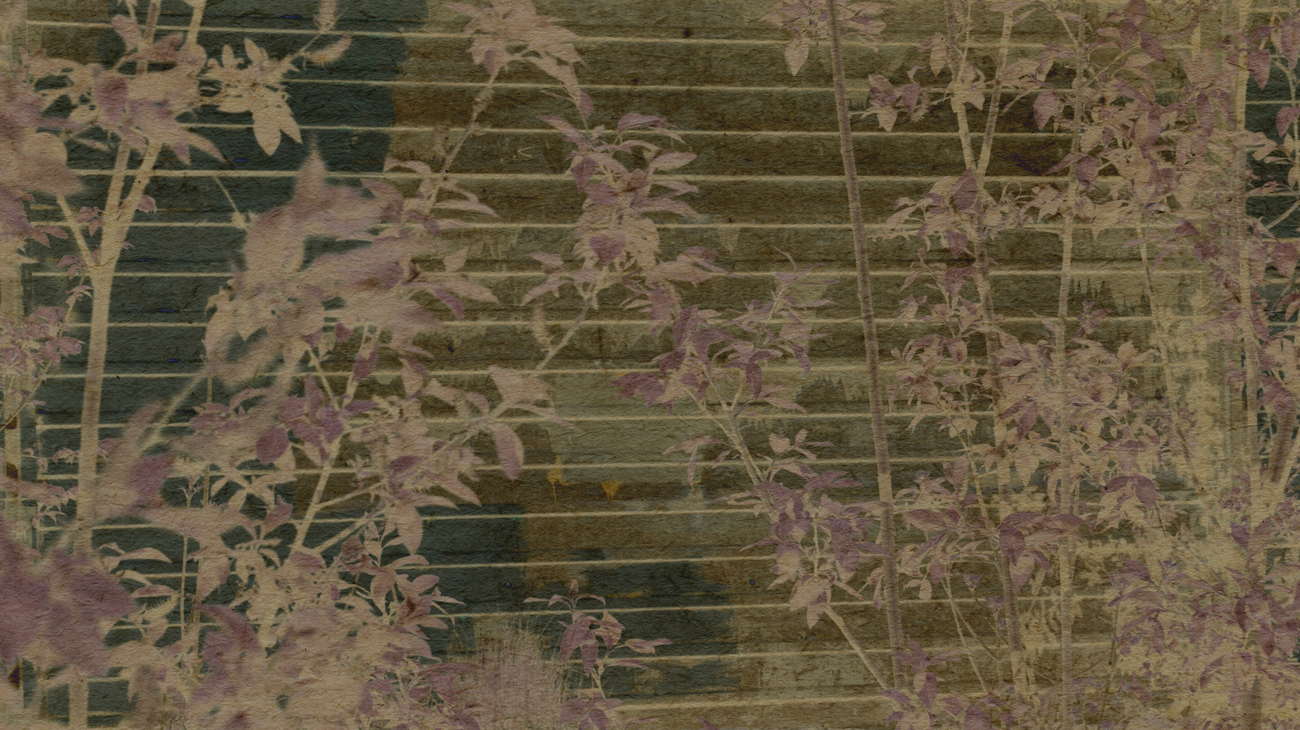 Lying on the grass. Anastasia Maryasova