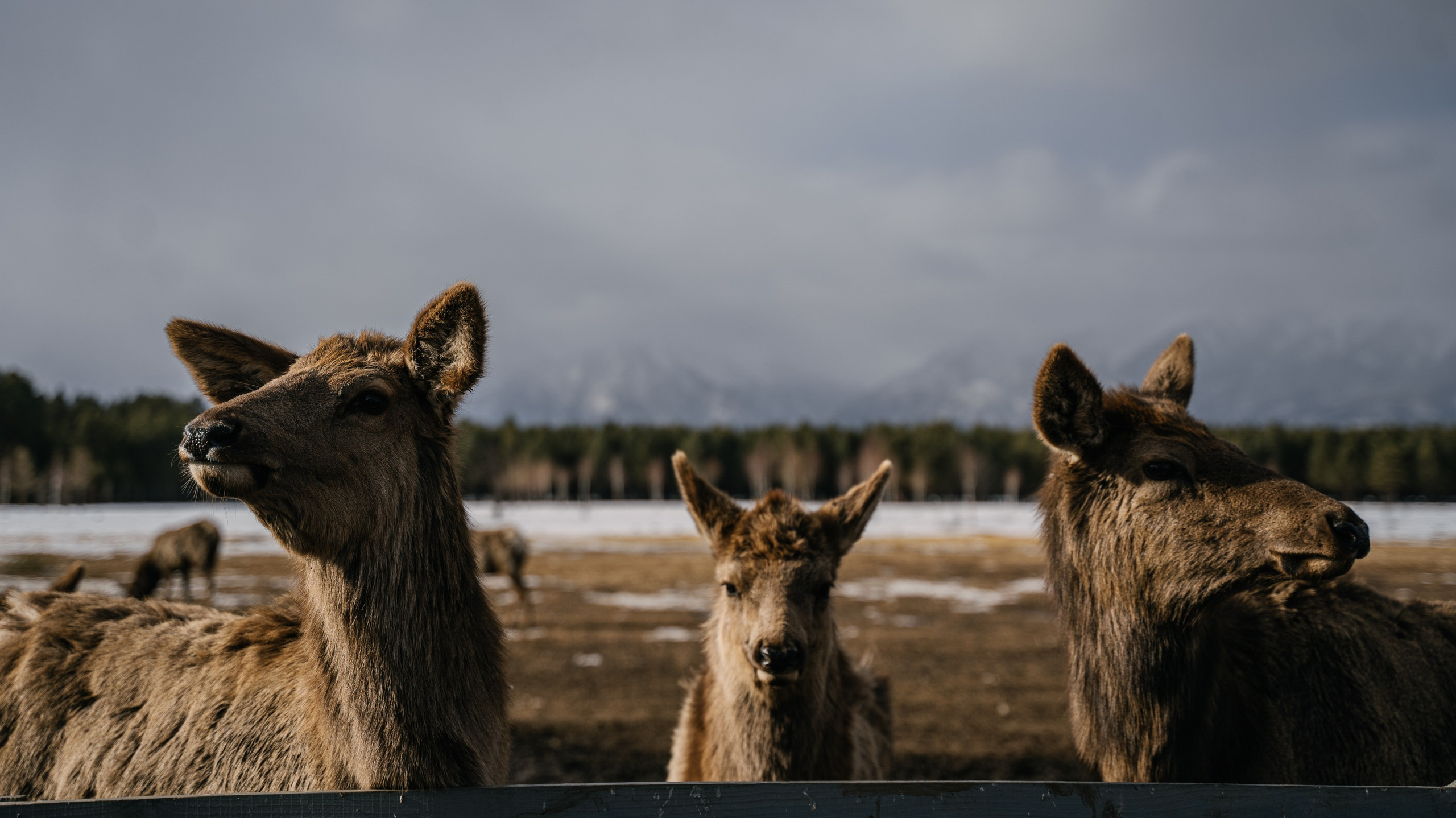 Путешествия. Фотограф Ольга Пучкова