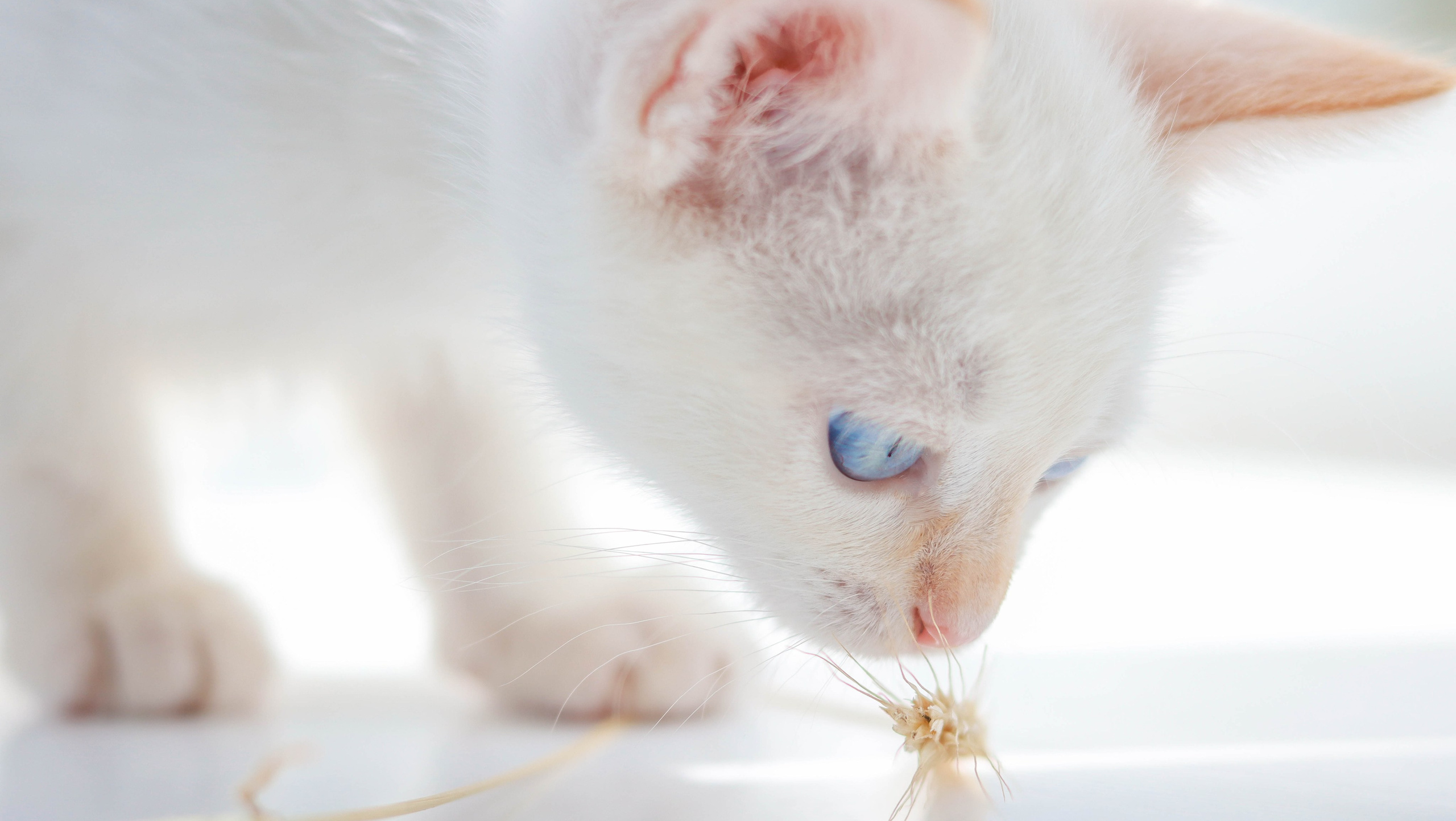 Съемка для маркетплейс г. Иваново Ольга Денисенко